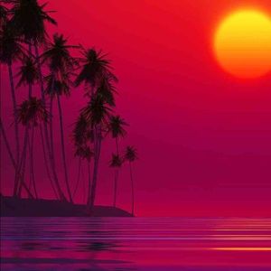 Meet your Posher, Zaria